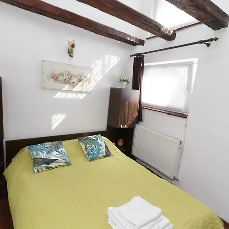 Apartmán Rustic Centrul Istoric