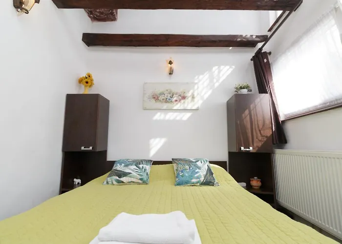 Rustic Centrul Istoric *