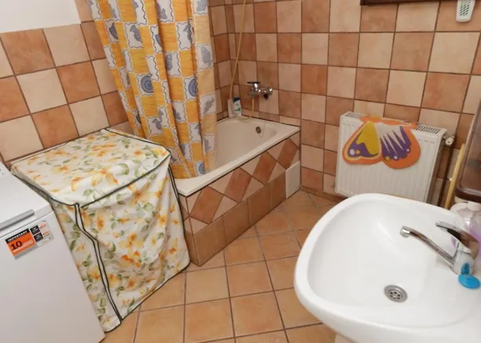 Rustic Centrul Istoric 아파트 브라쇼브